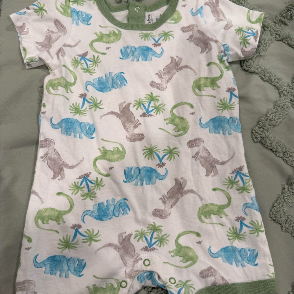 Burt’s Bees Dinosaur Print Baby Romper